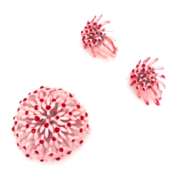 VINTAGE 60s PINK AND RED ENAMEL BROOCH/PIN AND MATCHING CLIP-ON EARRINGS SET - Picture 3 of 8